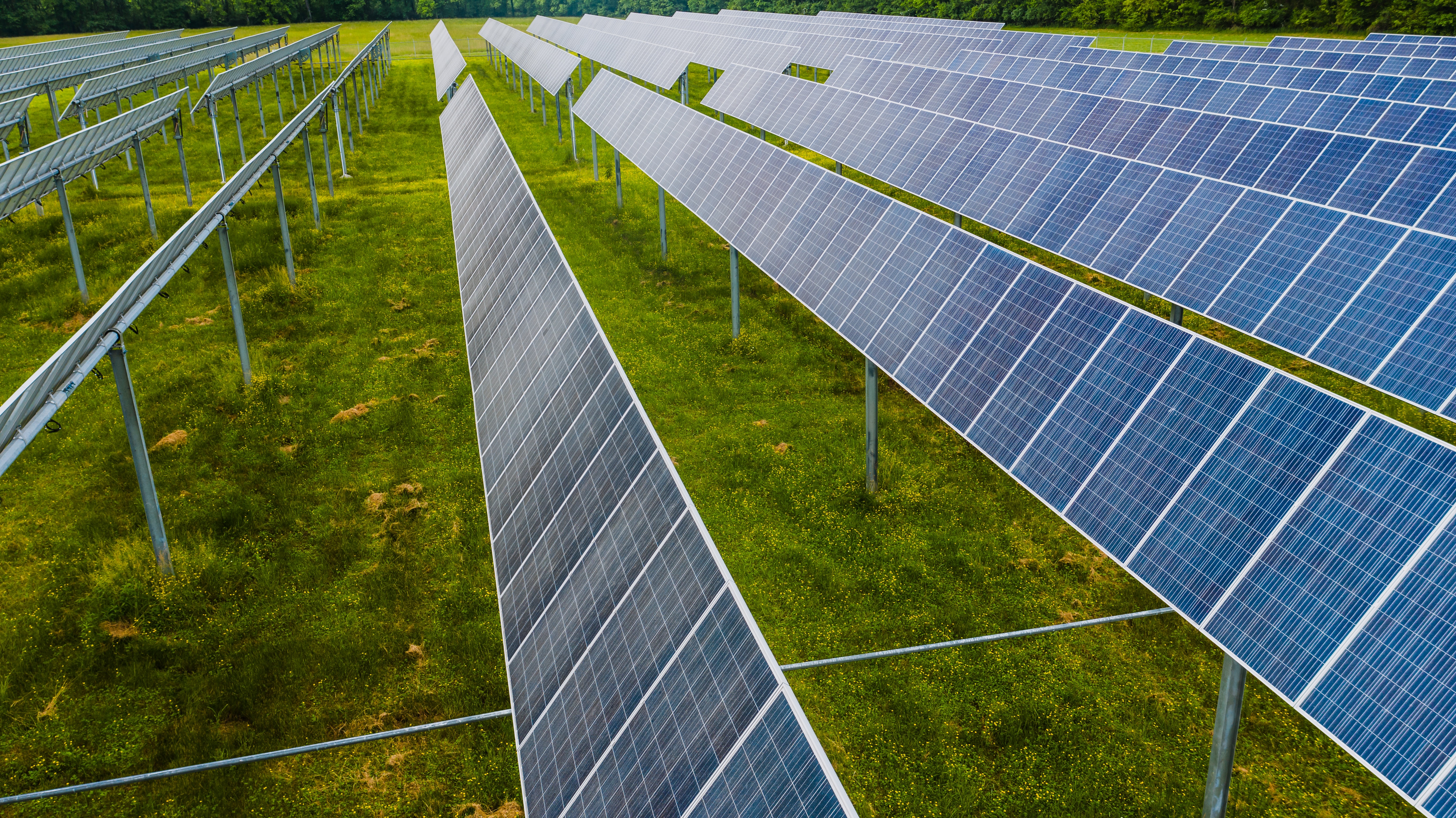 row of solar panels